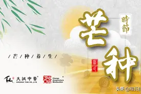 芒种护脾，祛湿先行，身体自备“平胃散”图片