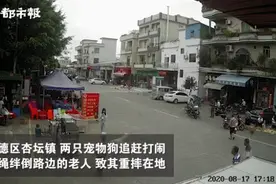 广东一老人被狗绳拽倒，重摔身亡！牵狗女孩逃离现场，警方最新通报来了图片