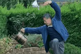 中国人种菜天赋爆红TikTok，网友被圈粉：地球已经无法满足你们了图片