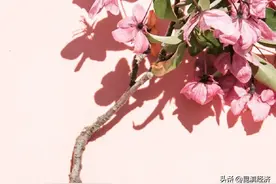 巾帼展风采 英姿谱芳华——致敬每个平凡岗位上不平凡的她图片