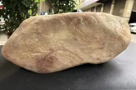 木那包浆杨梅皮，种老肉细图片
