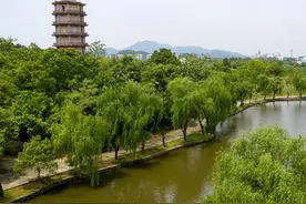 回故乡的外婆讲述当年日军侵略义乌的往事图片