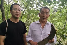民间高寿老中医的延年益寿药，补中益精气，坚筋骨治腰膝痛，强志图片