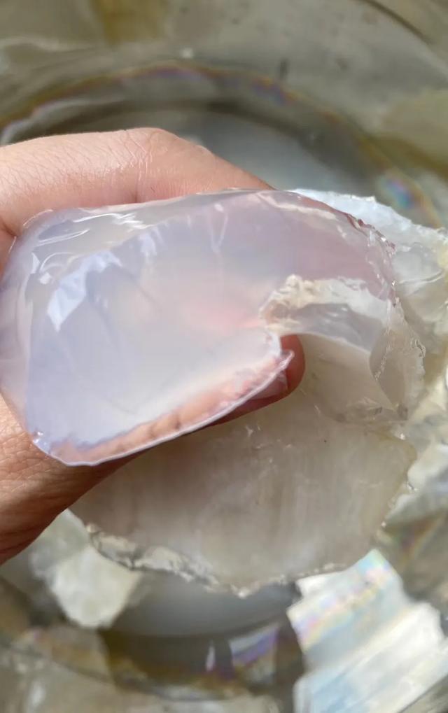 我的花胶牛奶怎么结冰块了 2026年花胶牛奶冻为什么会凝固 我的花胶牛奶怎么结冰块了 2026年花胶牛奶冻为什么会凝固