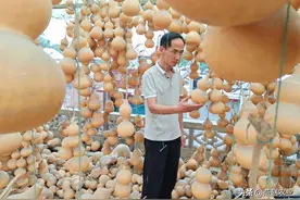 大学生回乡当村官，突发奇想种葫芦，看他怎样把小葫芦玩出大财富图片