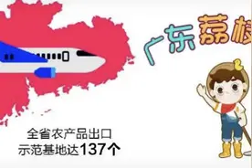 广东荔枝出口逆势突围再冲刺图片