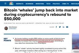比特币巨鲸，在买入！3万美元的BTC，可能再也看不到了图片