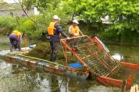 割草船：河道清理新“能手”图片