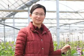 上海农民有多潮！她曾是复旦高材生，如今人人叫她“扁豆姑娘”!图片
