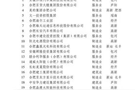 合肥企业50强榜单出炉图片