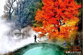 浙江600年石居城堡，是现实版世外桃源，被誉为江南石头第一村图片