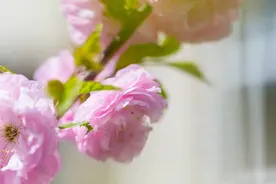 当你老了，能靠得住的，其实只有一个人图片