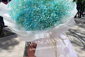 满天星的5个含义，7种满天星花语，送满天星需了解这些知识图片