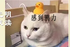 “80、90后压力大”冲上热搜，换个角度看？图片