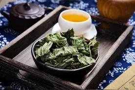 桑叶茶不适合长期服用图片
