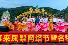 凤梨中的爱马仕——惠来凤梨你爱了吗？图片