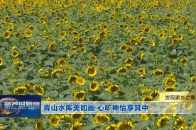 发现家乡之美——青山水库美如画 心旷神怡享其中图片