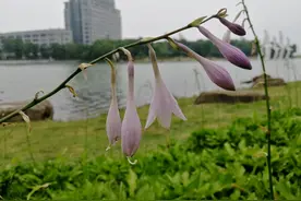 心情烦闷之时，最适合出去走走，哪怕只有一个人图片