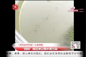 桃花潭公园水质遭污染，相关负责人均表示：加大工作力度视频封面