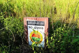 赤壁检察：守住子孙“口粮田”，坚决不容“非粮化”图片