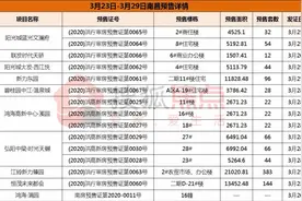 3月最后一波预售证来袭!南昌超千套房源入市 置业机会又来啦!图片
