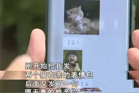 女员工遭50岁上司发骚扰信息，聚餐被摸私密部位，上司：是她态度不强硬图片