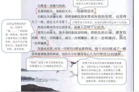小学五年级上语文1课《白鹭》课堂笔记、教案及练习题图片