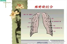 如何读好一张胸片图片