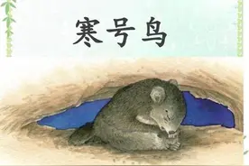 《寒号鸟》如果不换掉课文插图，干脆直接把这篇课文删去好了图片