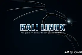 Kali Linux系统最受黑客喜爱的工具有哪些？它们有什么作用？图片