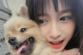 台湾美女模特Faye羽菲合辑一图片