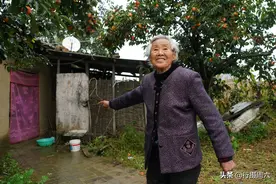89岁农村老人卖掉地坑院，独居1间小屋，看生活是啥样图片