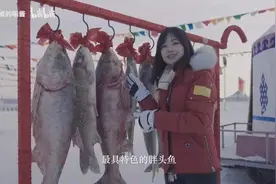 客从何处来：一文纵览，东北人的源与流图片