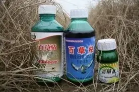百草枯：给你后悔的时间  不给你活下去的机会图片