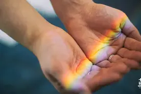 最顶级的养生，不是睡觉，不是运动，而是这几点！图片