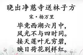 原来《晓出净慈寺送林子方》写的是这意思，这么多年一直理解错了图片
