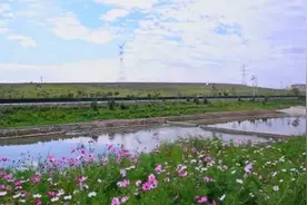 绿色为底 新城崛起——兰州新区全力推动黄河流域生态保护和高质量发展人民日报客户端甘肃频道图片