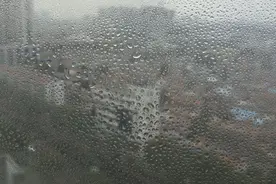 为啥有“大灾之后，必有大疫”的说法？河南暴雨后如何防病防疫？图片