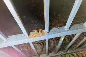 近日抢劫案频繁，津安联会提醒华人：提高防范意识，欢度传统佳节图片
