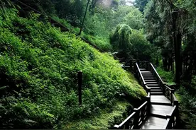 不说谎，诚实、正直图片