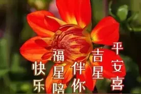 人生这条路，走着走着就不知所向，岁月是种轮回，人生是种历练图片