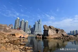 城市故事 | 新晋网红—— “神龟”奇石图片