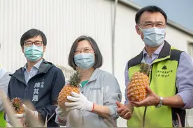 台湾菠萝卖不出去！岛内名嘴再放厥词：每人每天吃36斤对抗大陆图片