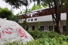 【六医号外】又到一年三伏天，敷贴走一波！图片