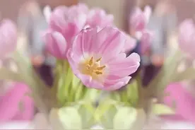 什么是因病入道？图片