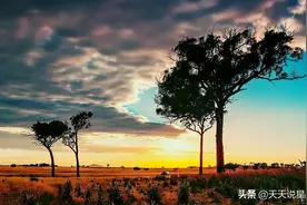 时间越久，反而爱得越深的3星座，爱对方到难以割舍图片