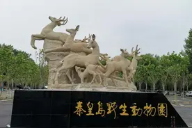 定了！秦皇岛野生动物园7月15日开园，还有精彩的动物表演！图片