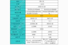 海景蓝湾与三水融创以13.16亿元分食三水2宗地图片