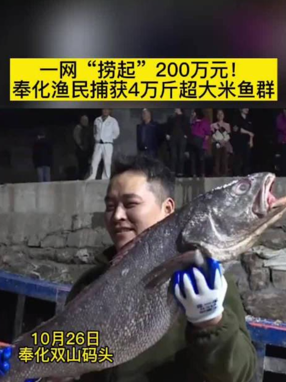 2021鳘鱼多少钱一斤 2026年鲮鱼多少钱一斤啊