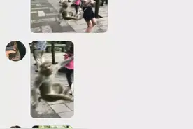 看完男朋友的手机相册，我想分手了图片